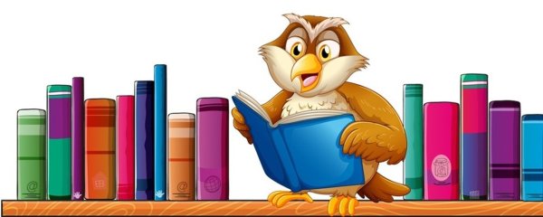 Книги на полке на прозрачном фоне