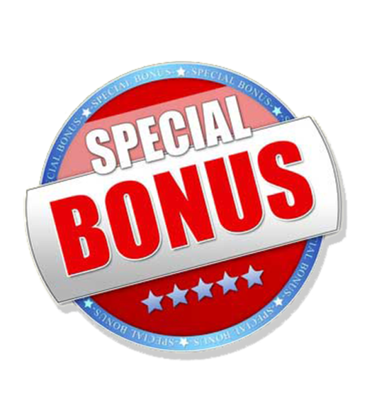 Бонус логотип