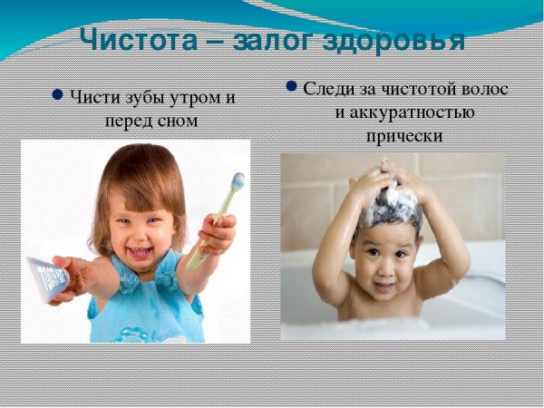 Презентация на тему чистота залог здоровья