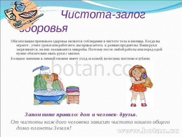 Презентация на тему чистота залог здоровья