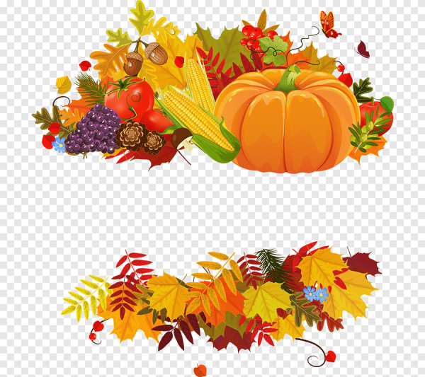 Дары осени на прозрачном фоне