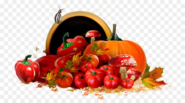 Осенний урожай на прозрачном фоне