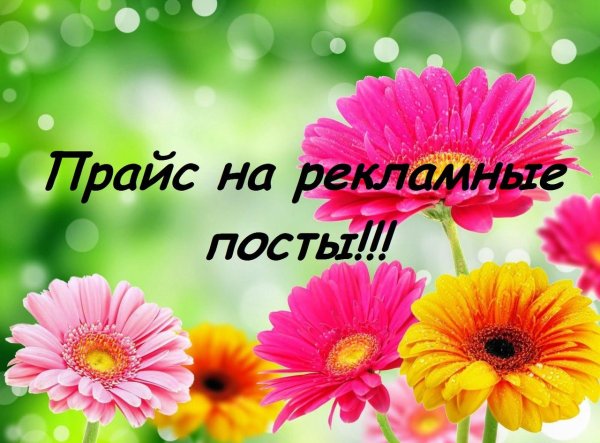 Давайте познакомимся