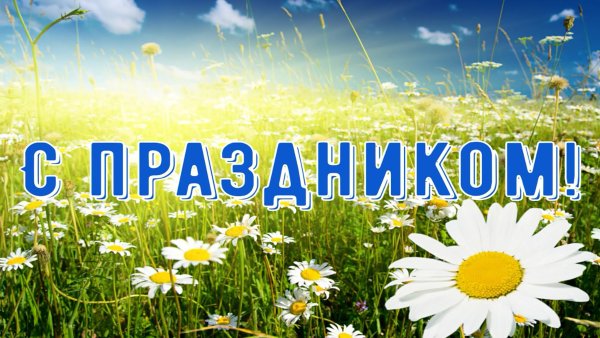 День села картинки