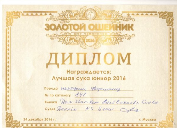 Надпись диплом