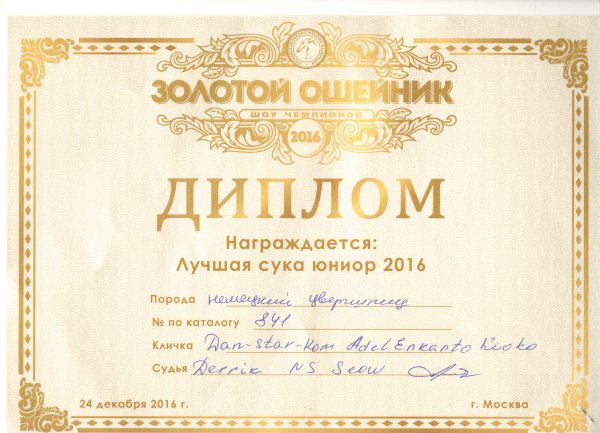 Диплом золото