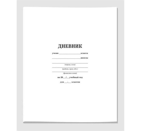 Дневник школьника