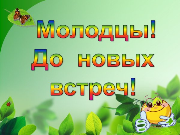 Молодцы до новых встреч