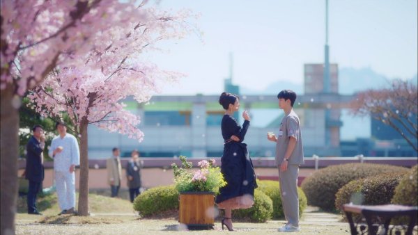 Дорама псих