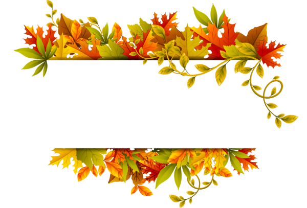 Акация осенняя