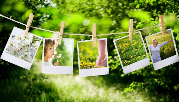 Фон для коллажа из фотографий