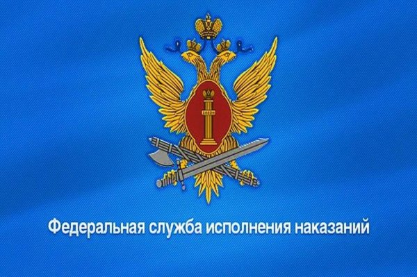 Федеральная служба исполнения наказаний (ФСИН России)