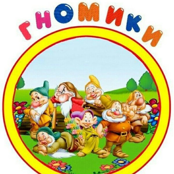 Группа гномики