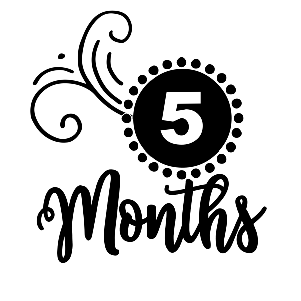 Months надпись