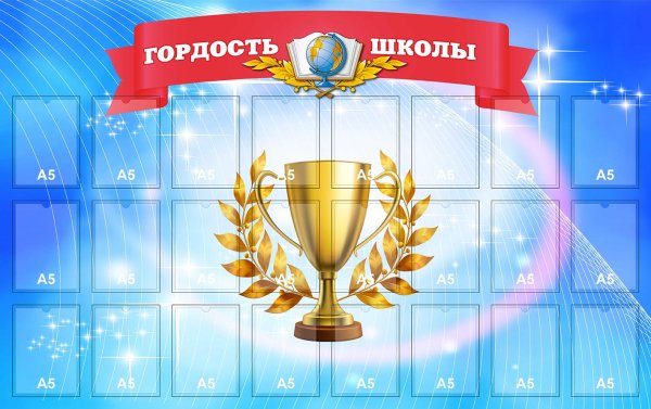 Спортивная гордость школы стенд