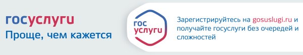 Госуслуги на прозрачном фоне