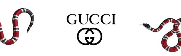 Логотип Gucci на белом фоне