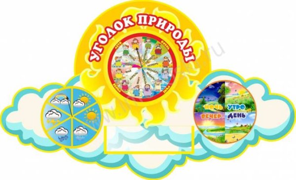 Уголок природы для детей