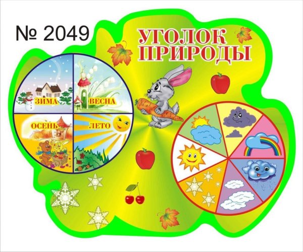 Название уголка природы в детском саду