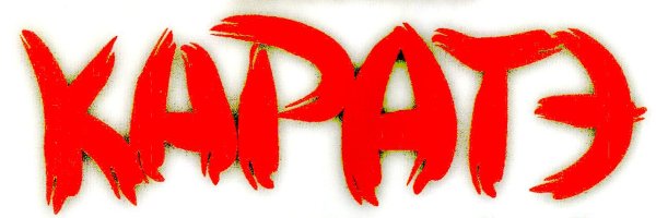 Каратэ надпись