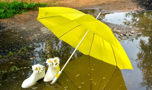 Прекрасного настроения в дождливую погоду