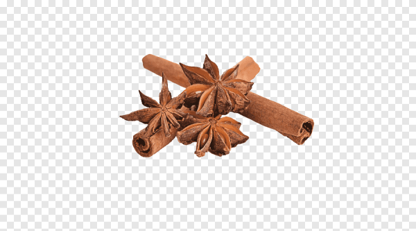 Корица на прозрачном фоне