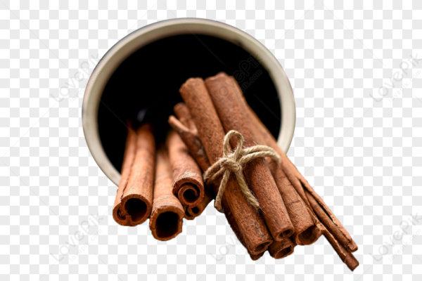 Корица специя вектор