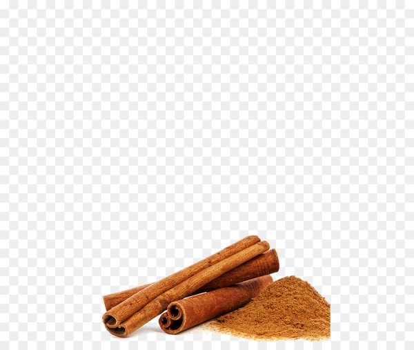 Палочки корицы вектор