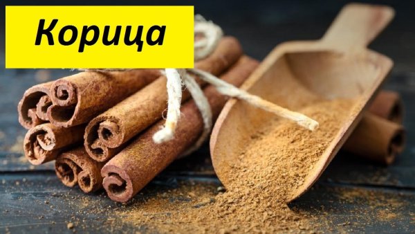 Корица надпись