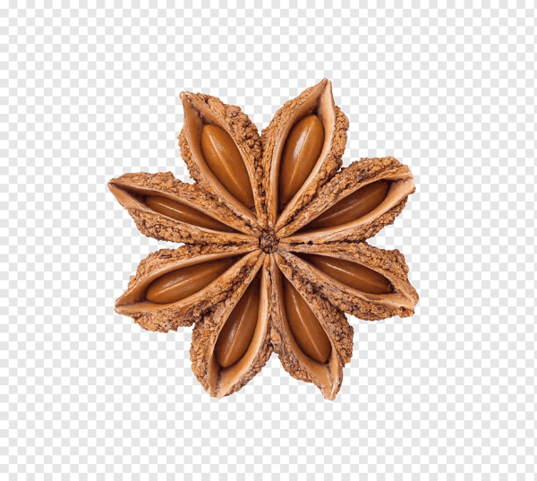 Бадьян анис звездчатый ПСД