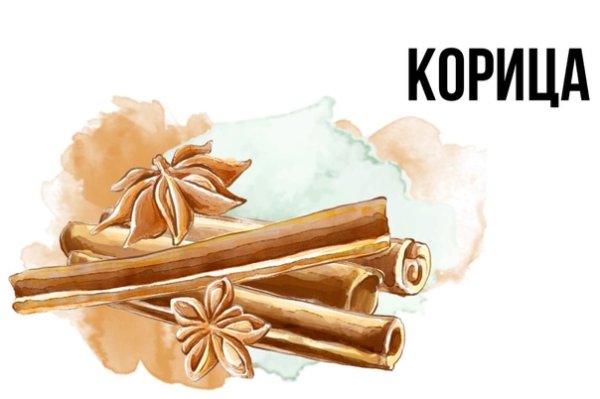 Карточки корица для детей