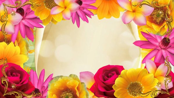 Фон для дня рождения воспитателя