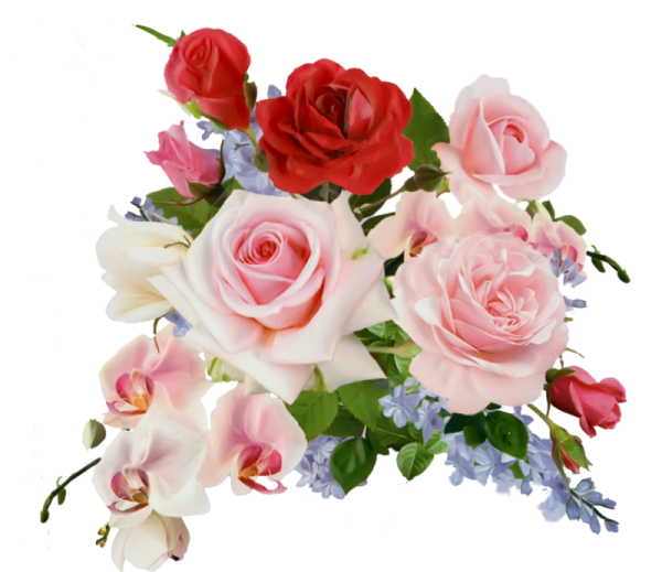 Классташлар открытки