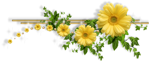 Бордюр из цветов на прозрачном фоне