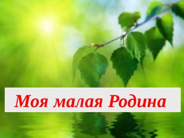 Надпись моя малая род на