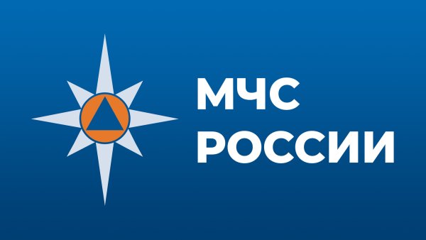 МЧС логотип