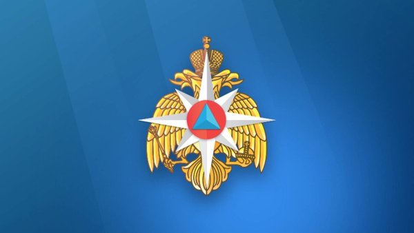 Большая эмблема МЧС России