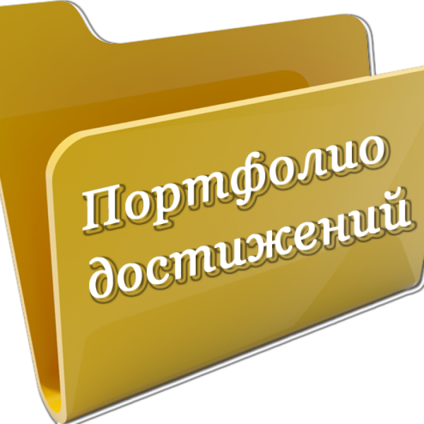 Мои профессиональные достижения