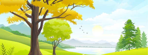 Фон лес вектор