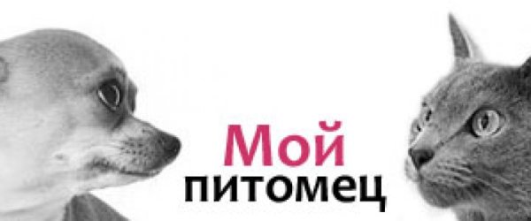 Мой питомец надпись