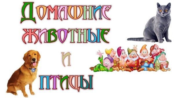 Надписи с домашними питомцами