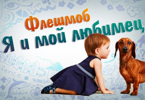 Фотоконкурс домашний питомец