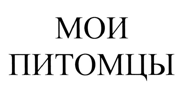 Надпись Мои домашние питомцы