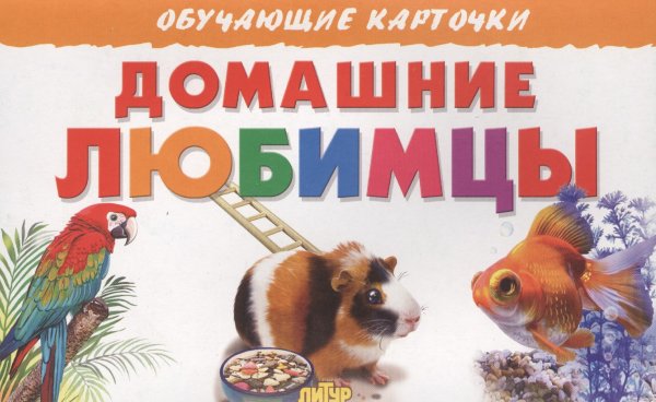 Наши домашние любимцы