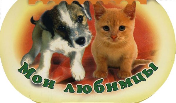 Мои любимые питомцы надпись
