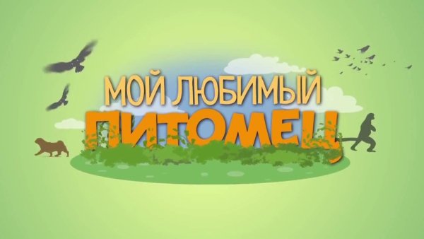 Мои любимые питомцы надпись