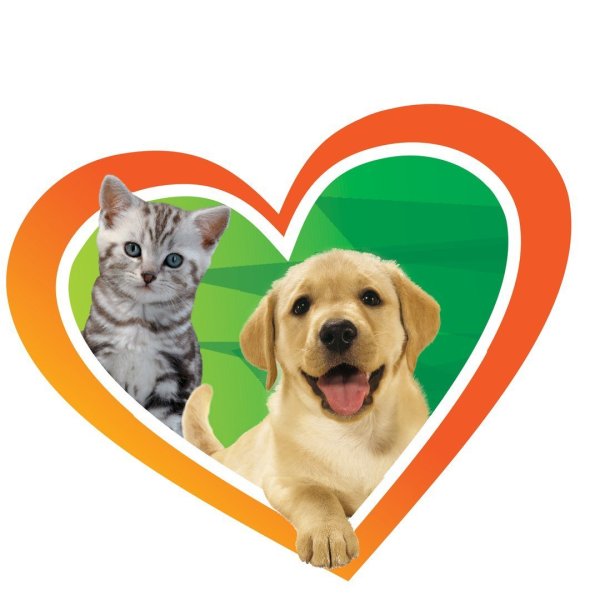 Зоомагазин животные