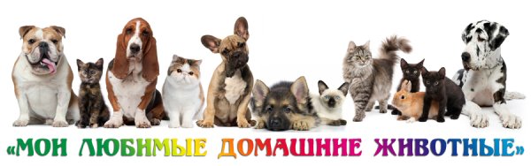 Наши любимые питомцы