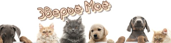 Наши питомцы надпись