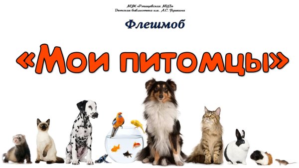 Мой домашний любимец надпись